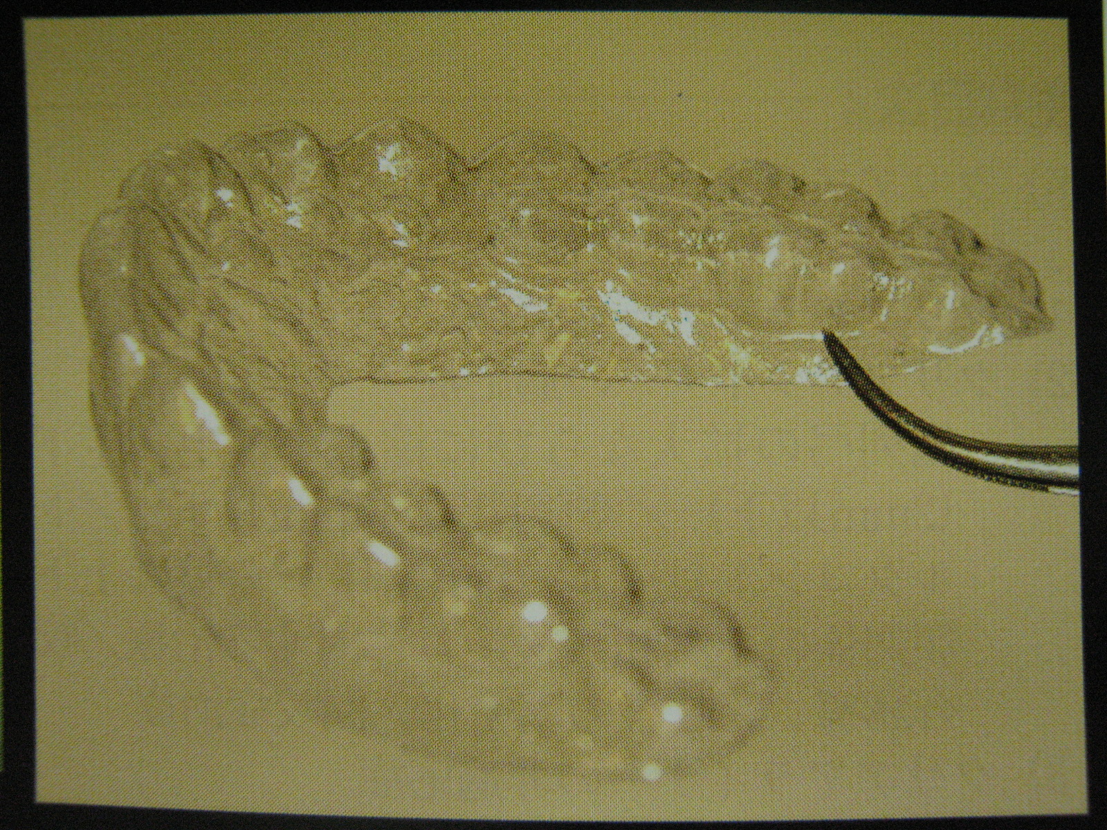 http://www.e-haisha3.com/IMG_6689.JPG