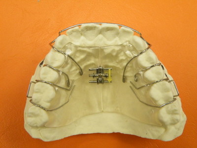 DSCF0768.JPG