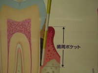 IMG_5648.JPG