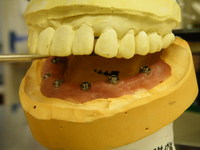 DSCF1171.JPG