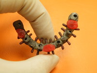 DSCF1175.JPG