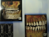 2287f712.JPG
