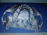 80e6145f.JPG